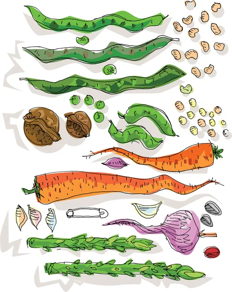 Verduras y frijoles - dibujos animados — Vector de stock
