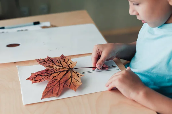 8 jaar oud kind zit aan bureau en doet herbarium op album sheet — Stockfoto