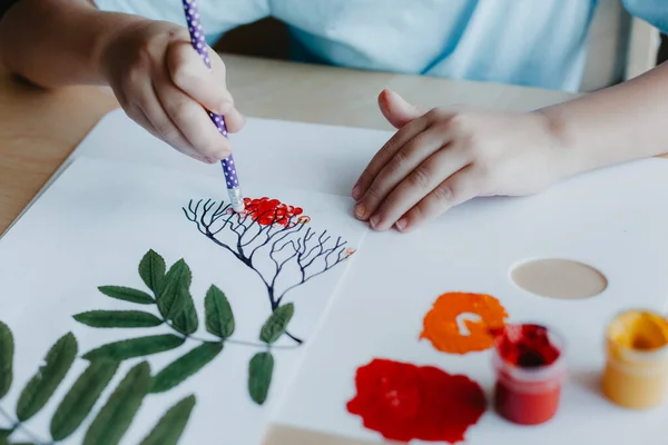 Cute duduk anak di meja dan menggambar rowanberries pada lembar album dengan daun rowan kering — Stok Foto
