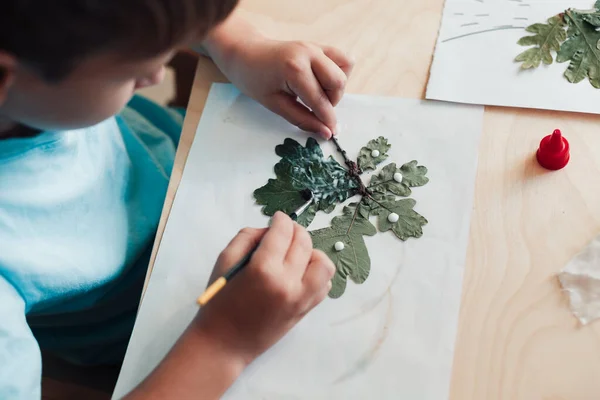 8 jaar oud kind zit aan bureau en doet herbarium op album sheet — Stockfoto