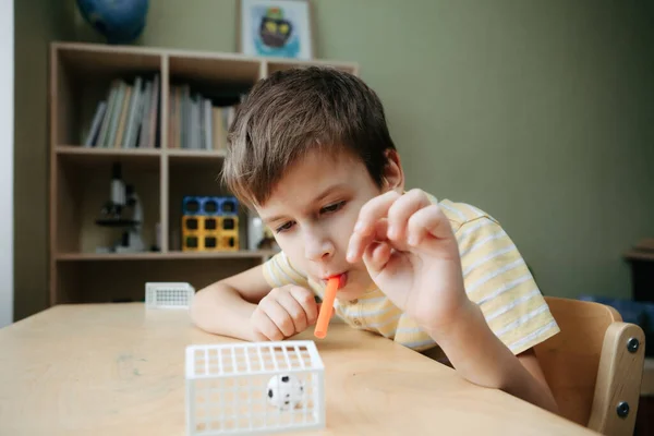 L'enfant joue au baby-foot sur le bureau. Photos De Stock Libres De Droits