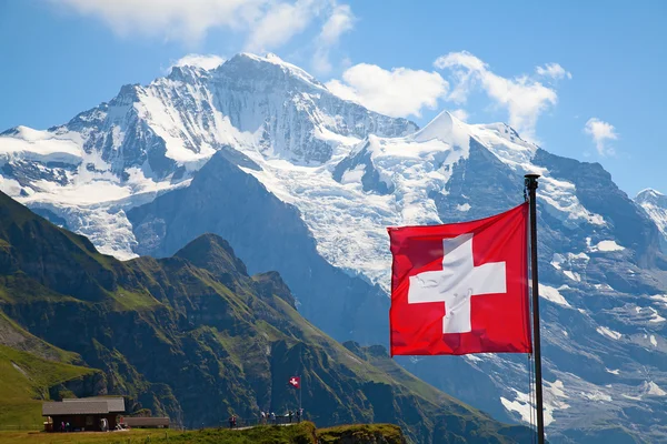 Swiss vlag Rechtenvrije Stockafbeeldingen