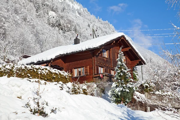 Paesaggio invernale — Foto Stock