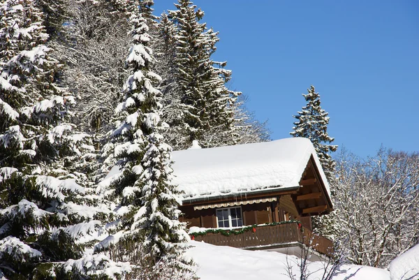 Inverno nos Alpes — Fotografia de Stock