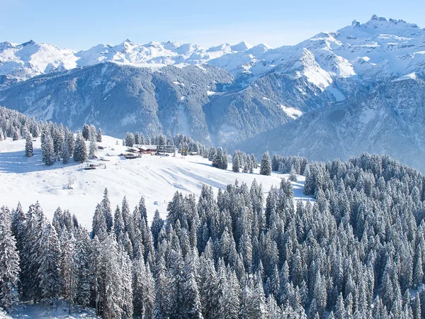 Vinterlandskap — Stockfoto