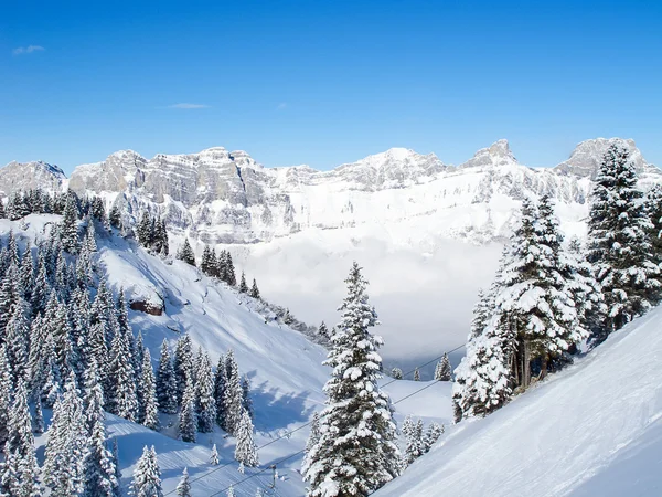 Skiën helling — Stockfoto