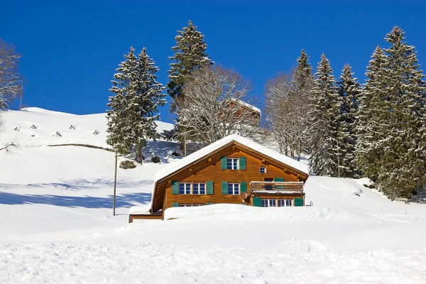 Winter in de Alpen — Stockfoto