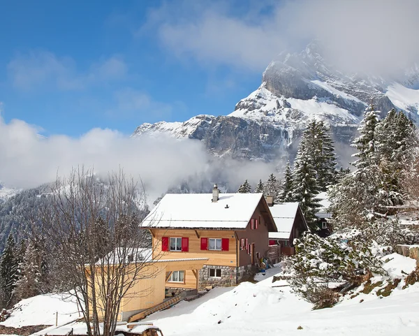 Paesaggio invernale — Foto Stock