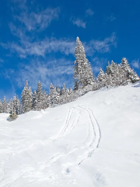 Paisaje invierno — Foto de Stock