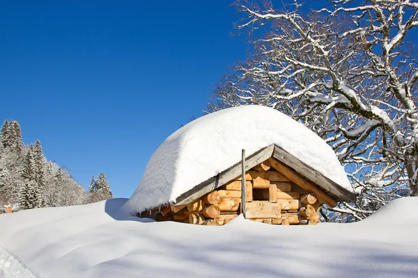 L'hiver dans les Alpes — Photo