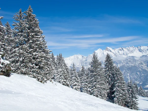 Winter in de Alpen — Stockfoto