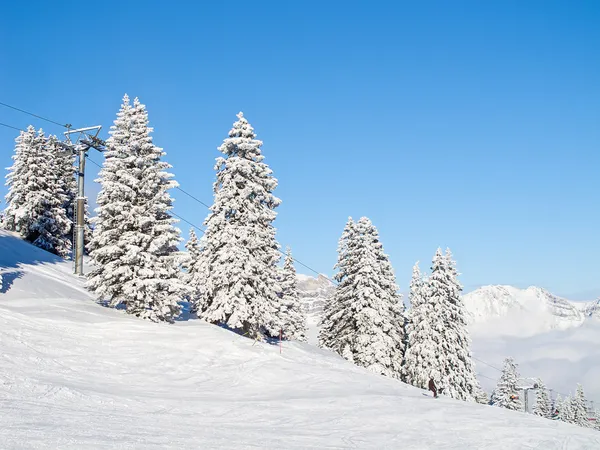 Skiën helling — Stockfoto