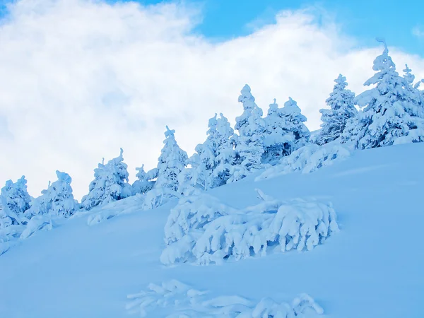 Winter in den Alpen — Stockfoto