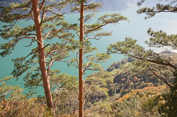 在阿尔卑斯山的秋天 — 图库照片