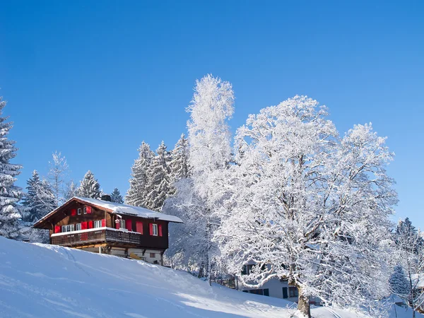 Winter in de Alpen — Stockfoto