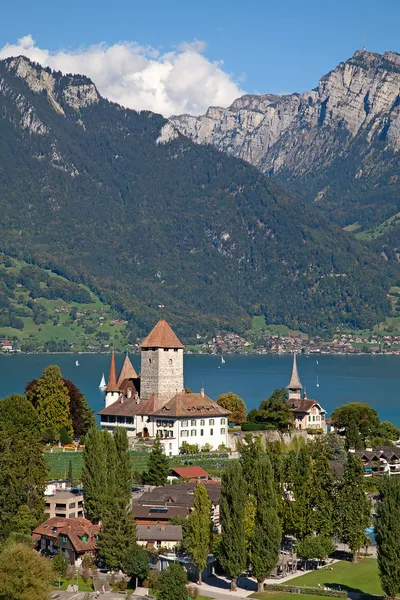 Schloss Spiez — Stockfoto