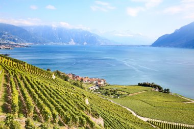 Lavaux bölgesi