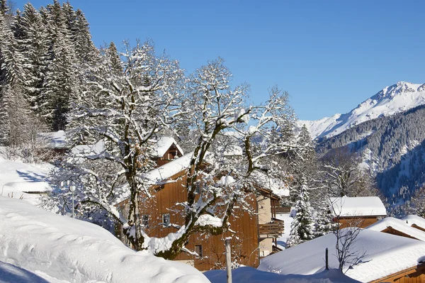 Winter in de Alpen — Stockfoto