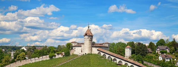 Verão em Schaffhausen — Fotografia de Stock