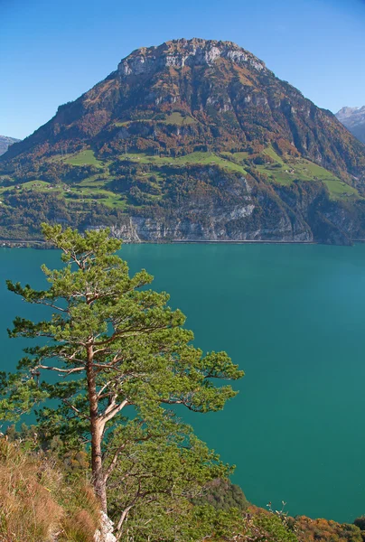 Automne dans les Alpes — Photo