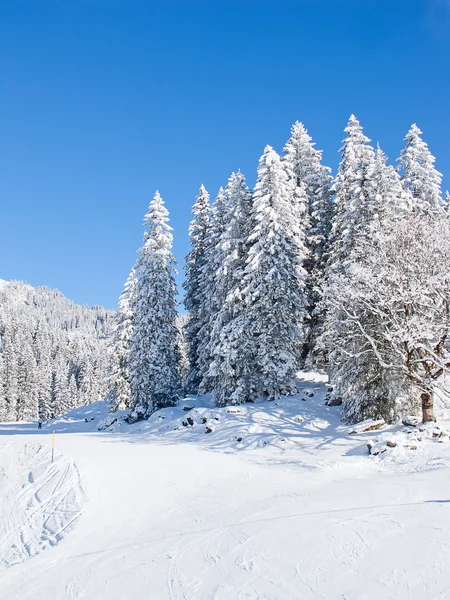 Paesaggio invernale — Foto Stock