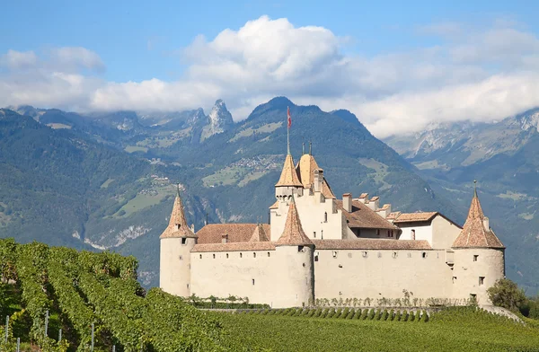 Chateau d 'Aigle — Fotografia de Stock