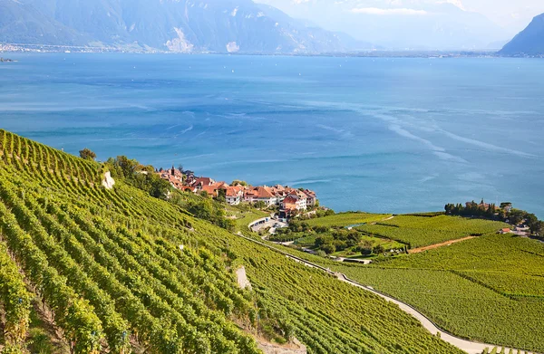 Регіон регіоні Lavaux — стокове фото