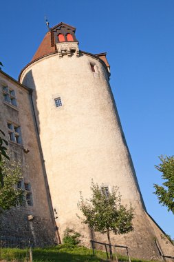 Chateau Gryere