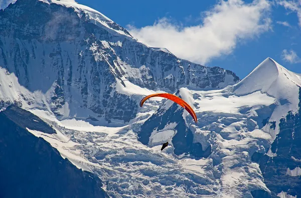 Gleitschirmfliegen in den Schweizer Alpen — Stockfoto