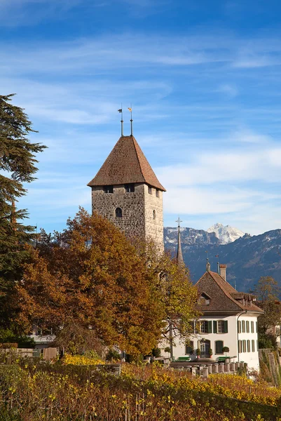 Schloss Spiez — Stockfoto