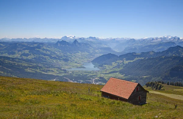 Sommer i Alperne - Stock-foto