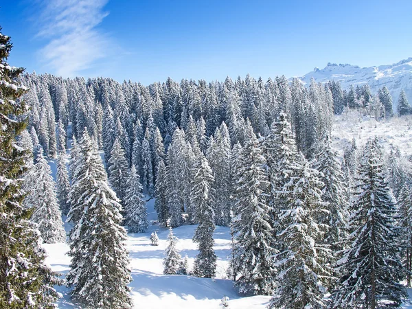 Winter in den Alpen — Stockfoto