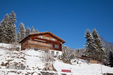 Alpleri'nde kış