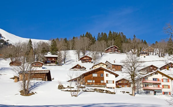 Winter in de Alpen — Stockfoto