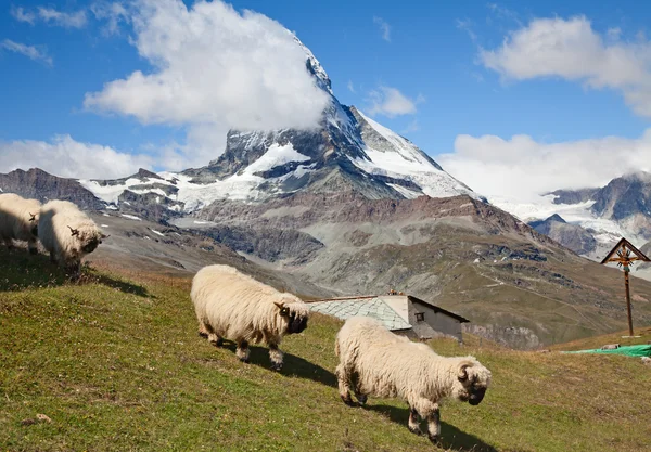 Matterhorn — Fotografia de Stock