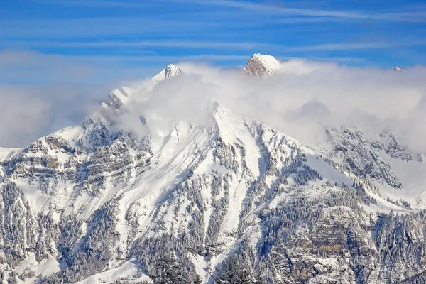 Paisagem inverno — Fotografia de Stock