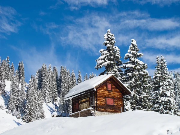 Paesaggio invernale — Foto Stock