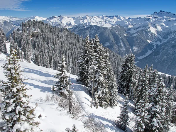 Paesaggio invernale — Foto Stock