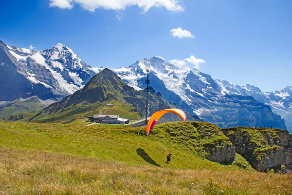 Парапланеризм в швейцарских Альпах — стоковое фото