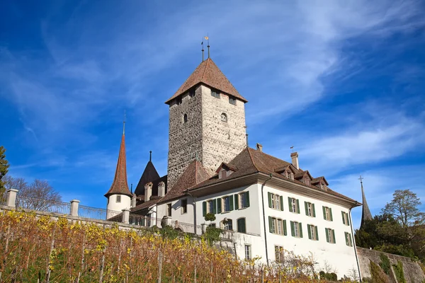 Spiez Kalesi — Stok fotoğraf