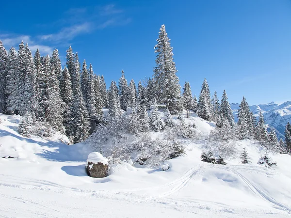 Winter in de Alpen — Stockfoto