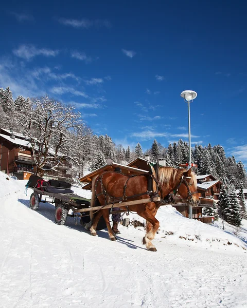 Inverno nelle Alpi — Foto Stock