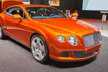 Cenevre Motor Fuarı 2011