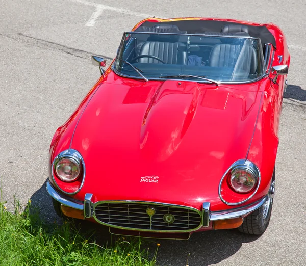 Jaguar roadster — Stock Photo, Image