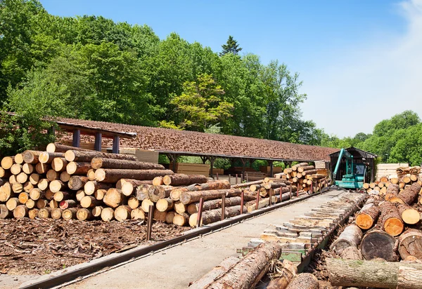 Verse houten hengsten — Stockfoto