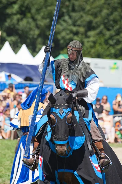 Knight on the horse — Stock Photo, Image