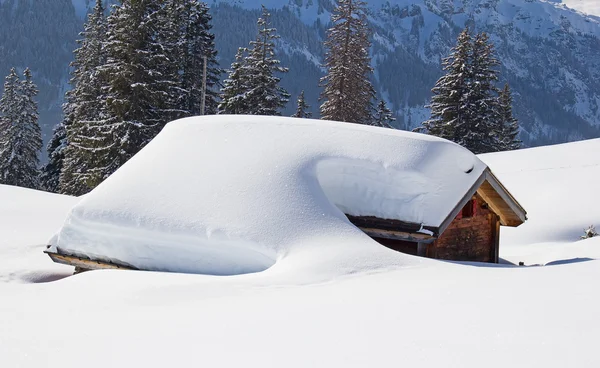 Snow drifts — Stock Photo, Image