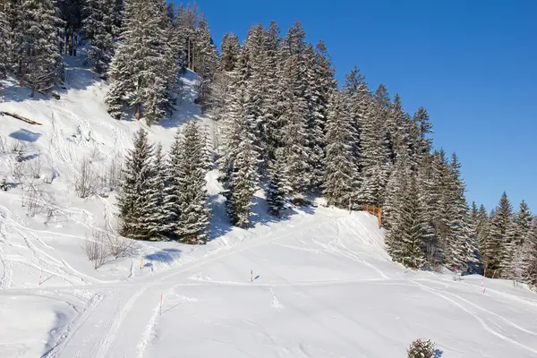 Ski dans les Alpes — Photo