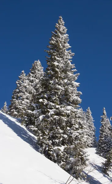 Paisagem inverno — Fotografia de Stock