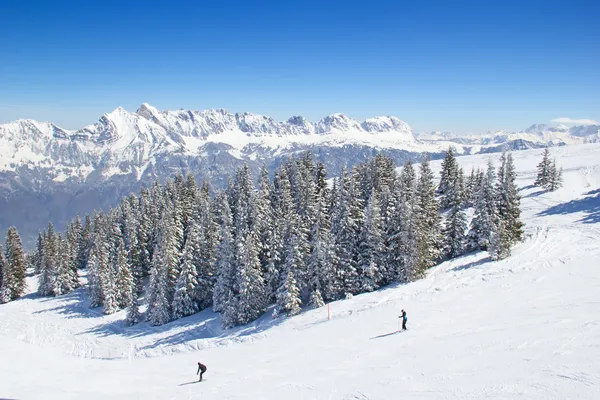 Лыжный спорт в Альпах — стоковое фото